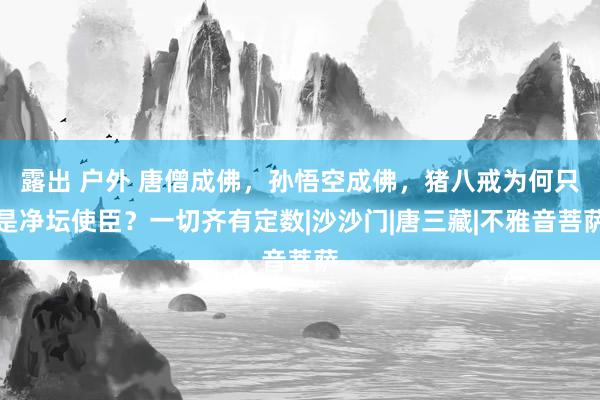 露出 户外 唐僧成佛，孙悟空成佛，猪八戒为何只是净坛使臣？一切齐有定数|沙沙门|唐三藏|不雅音菩萨